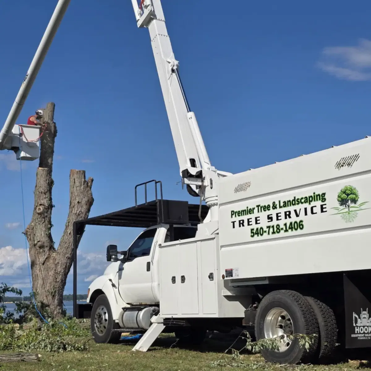 Professional tree service in Castleton, VA by Premier Tree & Landscaping