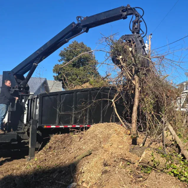 Tree service crew working in Fauquier County, Virginia