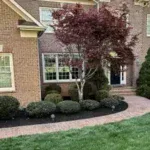 Shrub Removal & Trimming