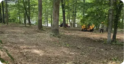 Land Clearing