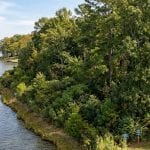 Vegetated Resource Protection Area buffer along a Northern Neck waterfront property on the Potomac River showing native trees inside a 100-foot shoreline RPA zone