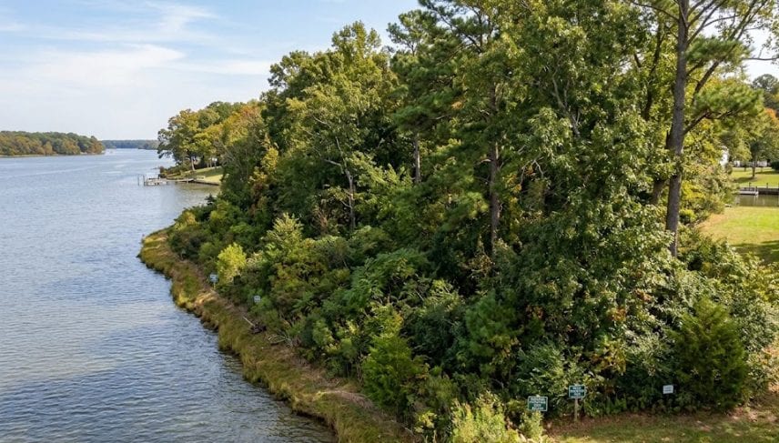 Vegetated Resource Protection Area buffer along a Northern Neck waterfront property on the Potomac River showing native trees inside a 100-foot shoreline RPA zone