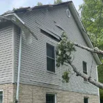 What Counts as a Tree Emergency in Northern Virginia