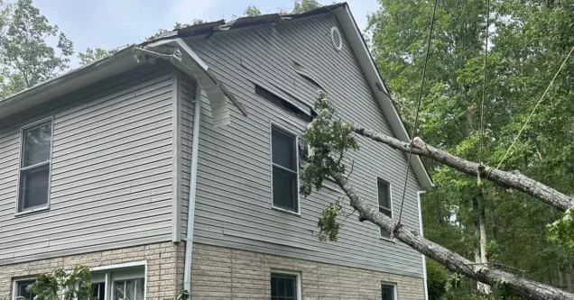 What Counts as a Tree Emergency in Northern Virginia? Your Guide to Immediate Action