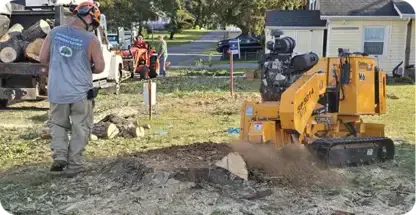 Stump Removal & Stump Grinding