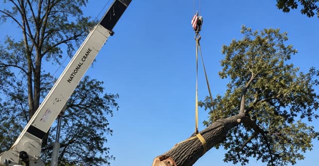 Crane-assisted removal of a large waterfront