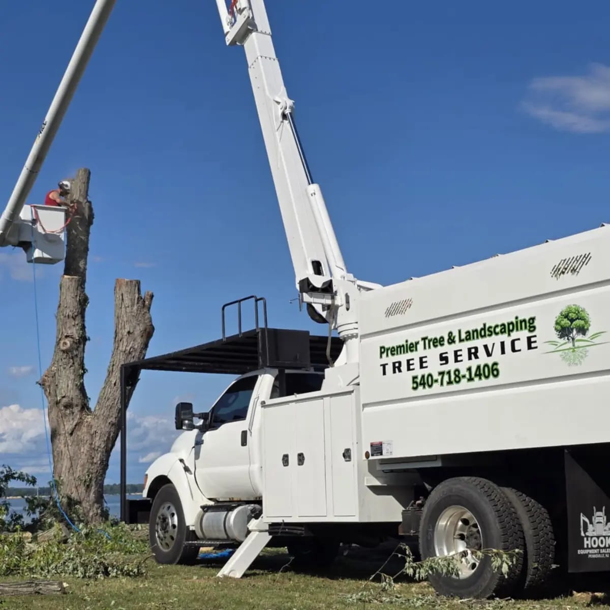 Professional tree service in Castleton, VA by Premier Tree & Landscaping