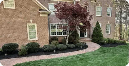 Shrub Removal & Trimming