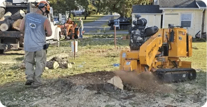 Stump Removal & Stump Grinding