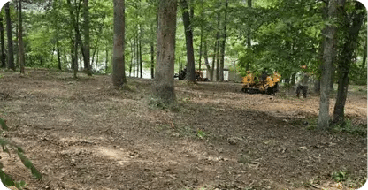 Land Clearing